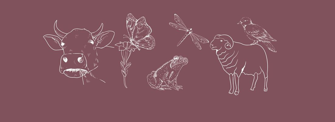 hintertux tierarten planzenarten nutztiere