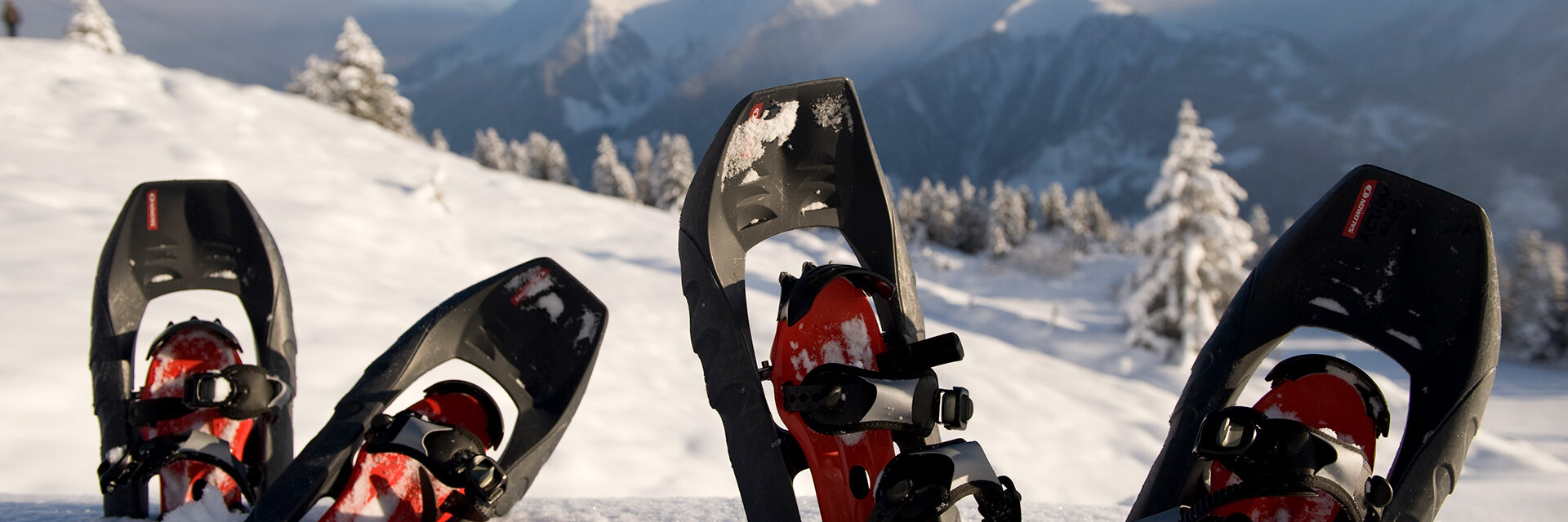 winterwandern schneeschuhwandern foto laurin moser mayrhofen hippach
